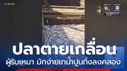 เผยสาเหตุปลาตายยกคลองสำเหร่