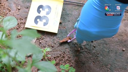 กองทัพบก นิติวิทยาศาสตร์ เก็บหลักฐานเหตุสู้รบชายแดนไทย กัมพูชา วันที่ 2  