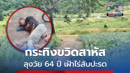 กระทิงป่าขวิดลุงวัย 64 ปี เฝ้าไร่สับปะรด บาดเจ็บสาหัส