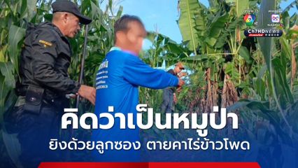 ชายเฝ้าไร่ข้าวโพด คิดว่าเป็นหมูป่าบุก ยิงด้วยปืนลูกซองยาวเข้าหัว คนหมู่บ้านเดียวกันเสียชีวิตคาที่