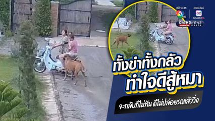 น้องหมา ยัง งง คนขี่รถ จยย. ทั้งกลัว ทั้งขำ จะกลับก็กลับไม่ทัน ร้องเสียงหลง