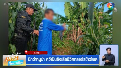นึกว่าหมูป่า คว้าปืนยิงเสียชีวิตกลางไร่ข้าวโพด