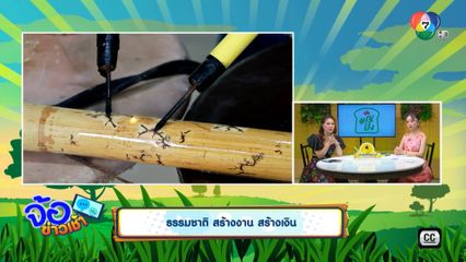 ธรรมชาติ สร้างงาน สร้างเงิน