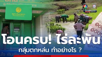 โอนครบ! เงินเกษตรกร ไร่ละ 1,000 เช็กกลุ่มตกหล่น ทำอย่างไร