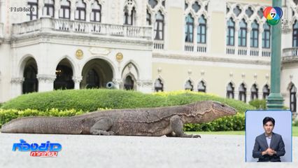 ตัวเงินตัวทอง โผล่ "ทำเนียบรัฐบาล"
