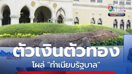 ตัวเงินตัวทอง โผล่ "ทำเนียบรัฐบาล"