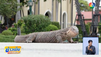 ตัวเงินตัวทองโผล่ ทำเนียบรัฐบาล