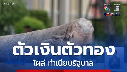 ตัวเงินตัวทองโผล่ ทำเนียบรัฐบาล