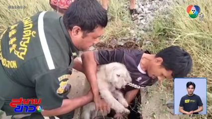 ช่วยวุ่น แตงอ่อน สุนัขตกท่อลึก 3 เมตร