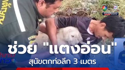 ช่วยวุ่น แตงอ่อน สุนัขตกท่อลึก 3 เมตร