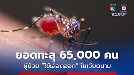 ยอดผู้ป่วย “ไข้เลือดออก” ในเวียดนาม ทะลุ 65,000 คน และเสียชีวิตแล้ว 11 คน