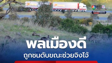 พลเมืองดีถูกชนดับบนทางด่วน ขณะช่วย จิงโจ้ บาดเจ็บในเมลเบิร์น