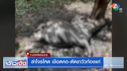 ล่าโจรโหด เชือดคอ-ตัดขาวัวท้องแก่