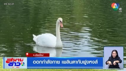 ออกกำลังกาย เพลินตากับฝูงหงส์