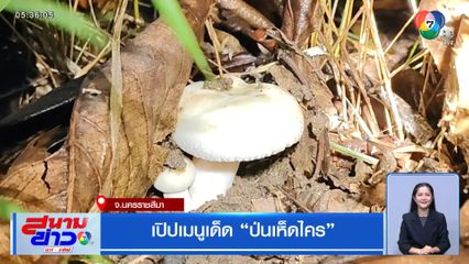 เปิปเมนูเด็ด ป่นเห็ดไคร