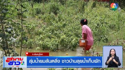 ลุ่มน้ำยมล้นตลิ่ง ชาวบ้านลุยน้ำเก็บผัก