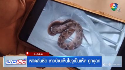 หวิดสิ้นชื่อ ชาวบ้านเห็นไข่งูเป็นเห็ด ถูกงูฉก