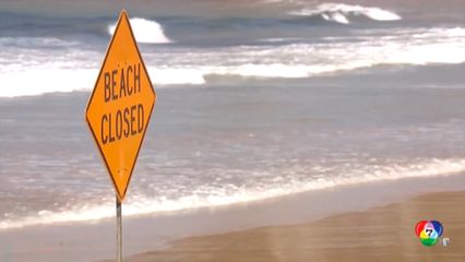 นักโต้คลื่นถูกฉลามกัดเสียชีวิต ที่ออสเตรเลีย