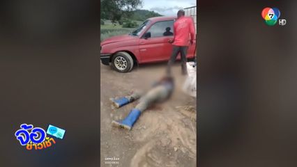 กระทิงดุ ขวิดปอดทะลุ