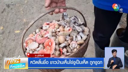 หวิดสิ้นชื่อ ชาวบ้านเห็นไข่งูเป็นเห็ด ถูกงูฉก