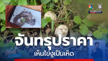 หวิดสิ้นชื่อ ชาวบ้านเห็นไข่งูเป็นเห็ด ถูกงูฉก