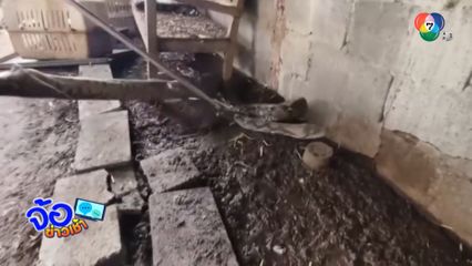 กลัวจนตัวสั่น ยายผวางูเหลือมตัวใหญ่มาก