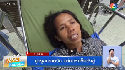 ถูกงูฉกรายวัน แต่คนหาเห็ดยังสู้