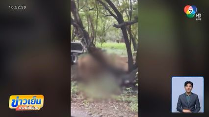 เร่งสืบหาสาเหตุ สิงโตทำร้าย จนท. เสียชีวิต