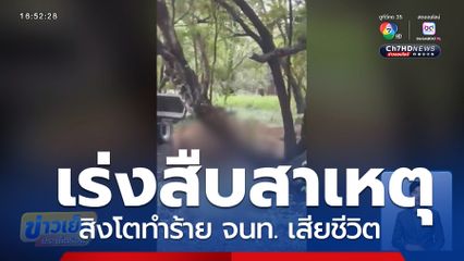 เร่งสืบหาสาเหตุ สิงโตทำร้าย จนท. เสียชีวิต