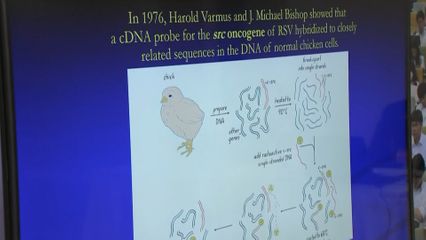 สมเด็จพระเจ้าน้องนางเธอ เจ้าฟ้าจุฬาภรณวลัยลักษณ์ อัครราชกุมารี กรมพระศรีสวางควัฒน วรขัตติยราชนารี ทรงบรรยายเรื่องการเกิดโรคมะเร็ง พระราชทานแก่นักศึกษาแพทย์ ชั้นปีที่ 3 คณะแพทยศาสตร์ศิริราชพยาบาล มหาวิทยาลัยมหิดล ประจำปีการศึกษา 2568 ผ่านสื่ออิเล็กทรอ