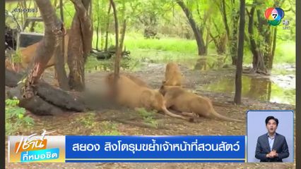 สยอง สิงโตรุมขย้ำเจ้าหน้าที่สวนสัตว์