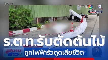 ร.ต.ท.รับจ้างตัดต้นไม้ ถูกไฟฟ้าดูดเสียชีวิต
