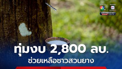 กยท. ทุ่มงบ 2,800 ลบ. ช่วยชาวสวนยางที่ยื่นขอโค่นยางฯ ด้วยทุนตนเองไว้แล้ว พร้อมจ่ายครบ ภายใน 15 ก.ย. นี้
