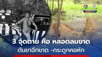 ผู้การฯ นิติเวช ยัน 3 จุดตาย ต้นขาฉีกขาด-หลอดลมขาด-กระดูกคอหัก ส่วนอวัยวะอยู่ครบ ไม่ได้โดนสิงโตกิน