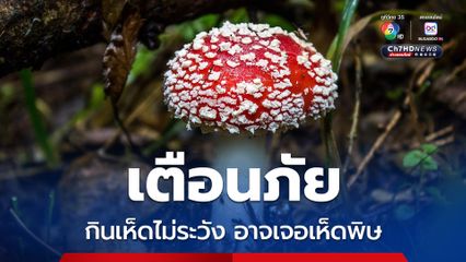 สคร.9 เตือนภัย กินเห็ดไม่ระวัง อาจเจอเห็ดพิษ อย่าเสี่ยง ไม่รู้จัก ไม่แน่ใจ ไม่เก็บ ไม่กิน