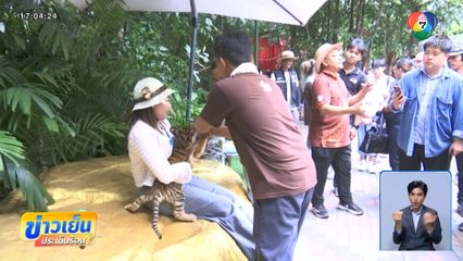 นักท่องเที่ยวเข้าใจ เหตุไม่คาดคิด สิงโตขย้ำคน