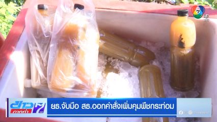 ยธ.จับมือ สธ.ออกคำสั่งเพิ่มคุมพืชกระท่อม