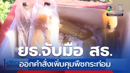 ยธ.จับมือ สธ.ออกคำสั่งเพิ่มคุมพืชกระท่อม