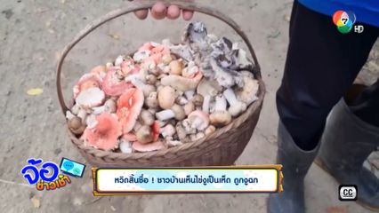 หวิดสิ้นชื่อ ชาวบ้านเห็นไข่งูเป็นเห็ด ถูกงูฉก