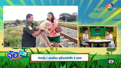 ช่วยวุ่น แตงอ่อน สุนัขตกท่อลึก 3 เมตร