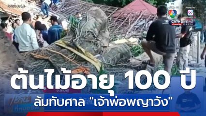 วินาที ! ต้นไม้ล้มทับศาล "เจ้าพ่อพญาวัง"