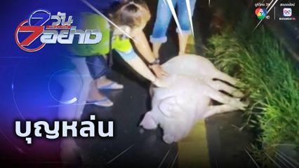 7 วัน 7 อย่าง : บุญหล่น