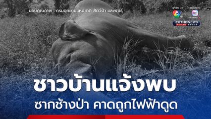 ชาวบ้านแจ้งพบซากช้างป่า​ คาดถูกไฟฟ้าดูด