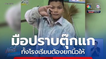 นักเรียนมือปราบตุ๊กแก จ.กำแพงเพชร