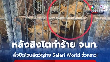 กรมอุทยานฯ สั่งปิดโซนสัตว์ดุร้าย Safari World ชั่วคราว และปรับปรุงให้ได้ตามมาตรฐานความปลอดภัยและสวัสดิภาพสัตว์