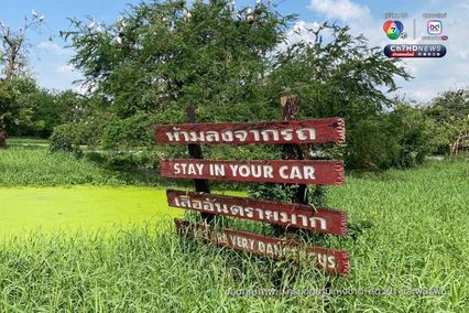 กรมอุทยานฯ สั่งปิดโซนสัตว์ดุร้าย Safari World ชั่วคราว และปรับปรุงให้ได้ตามมาตรฐานความปลอดภัยและสวัสดิภาพสัตว์