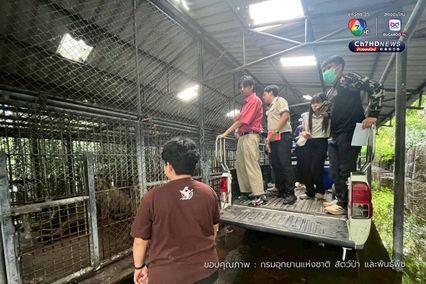 กรมอุทยานฯ สั่งปิดโซนสัตว์ดุร้าย Safari World ชั่วคราว และปรับปรุงให้ได้ตามมาตรฐานความปลอดภัยและสวัสดิภาพสัตว์