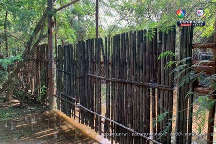 กรมอุทยานฯ สั่งปิดโซนสัตว์ดุร้าย Safari World ชั่วคราว และปรับปรุงให้ได้ตามมาตรฐานความปลอดภัยและสวัสดิภาพสัตว์