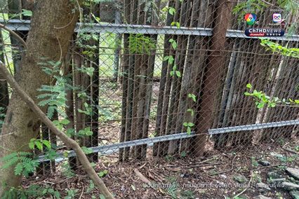 กรมอุทยานฯ สั่งปิดโซนสัตว์ดุร้าย Safari World ชั่วคราว และปรับปรุงให้ได้ตามมาตรฐานความปลอดภัยและสวัสดิภาพสัตว์