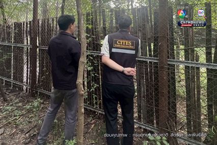 กรมอุทยานฯ สั่งปิดโซนสัตว์ดุร้าย Safari World ชั่วคราว และปรับปรุงให้ได้ตามมาตรฐานความปลอดภัยและสวัสดิภาพสัตว์